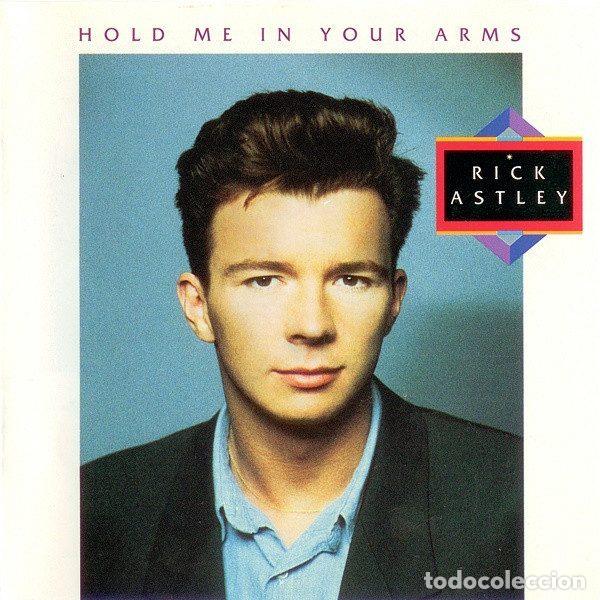 CDs de Musique: Rick Astley &ndash; Hold Me In Your Arms (CD, RCA PD 71932)
