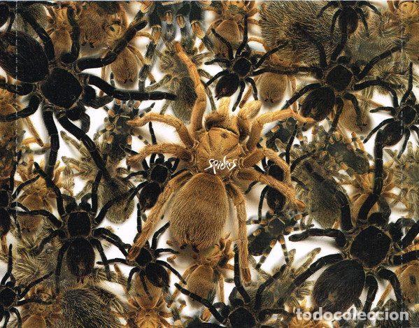 CDs de m&uacute;sica: Space &ndash; Spiders (CD, Gut Records GUTCD1) - Foto 10