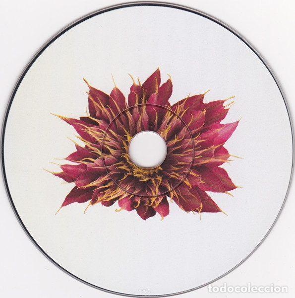 CDs de m&uacute;sica: Daniel Lanois &ndash; Belladonna (CD, Anti- 6767-2) - Foto 3