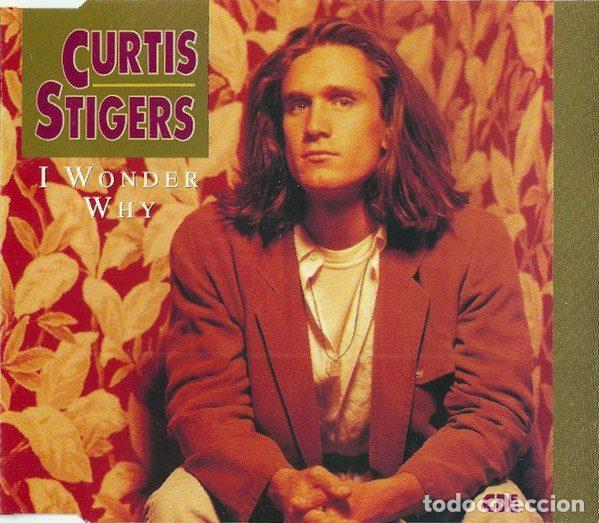 CDs de Musique: Curtis Stigers &ndash; I Wonder Why (CD, Arista 664 716)