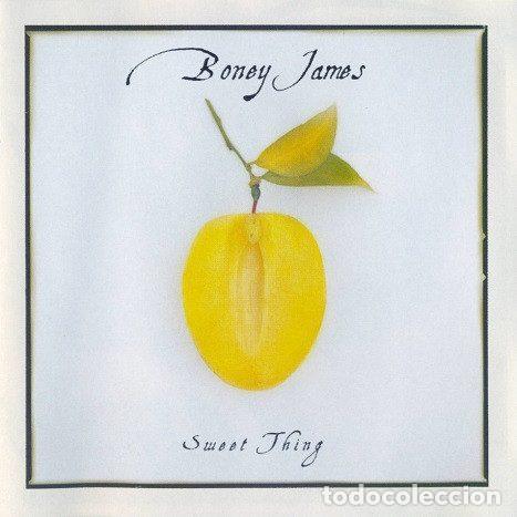 CDs de Musique: Boney James &ndash; Sweet Thing (CD, Warner Bros. Records 9 46548-2)