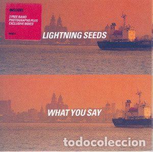 Musik-CDs: Lightning Seeds &ndash; What You Say (CD, Epic 665357 5)