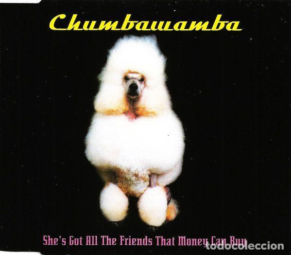 Musik-CDs: Chumbawamba &ndash; She's Got All The Friends That Money Can Buy (CD, EMI Electrola 7 24388 82232 9)