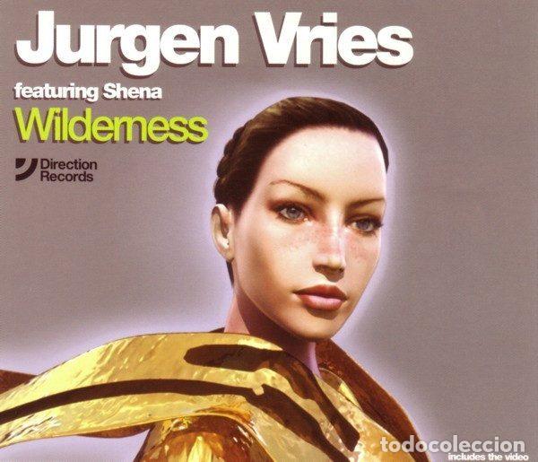Musik-CDs: Jurgen Vries Featuring Shena &ndash; Wilderness (CD, Direction Records 674269 2)