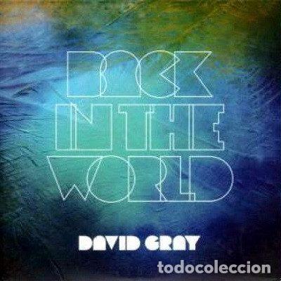 CDs de m&uacute;sica: David Gray &ndash; Back In The World (CDr, IHT Records IHTCDP1404)