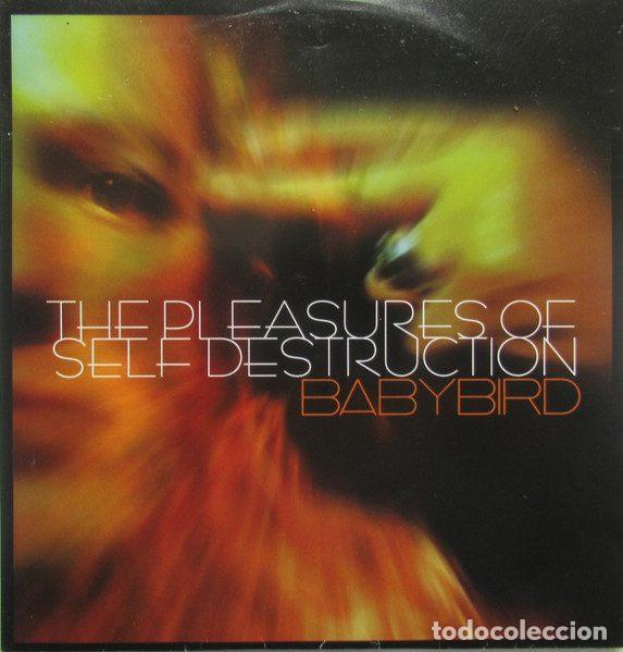 Musik-CDs: Babybird &ndash; The Pleasures Of Self Destruction (CDr, Unison Music none)
