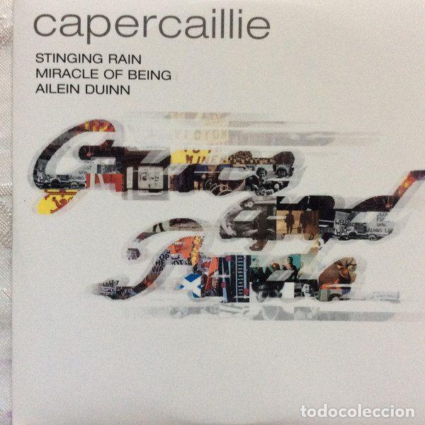 Musik-CDs: Capercaillie &ndash; Stinging Rain / Miracle Of Being / Ailein Duinn (CD, Survival Records SURCD 60)