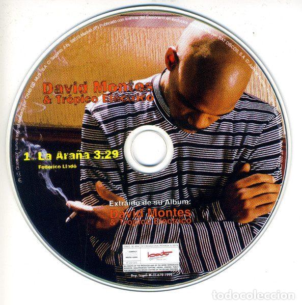 Musik-CDs: David Montes & Tr&oacute;pico El&eacute;ctrico &ndash; La Ara&ntilde;a (CD, Bat Discos BT 233 CD'S)