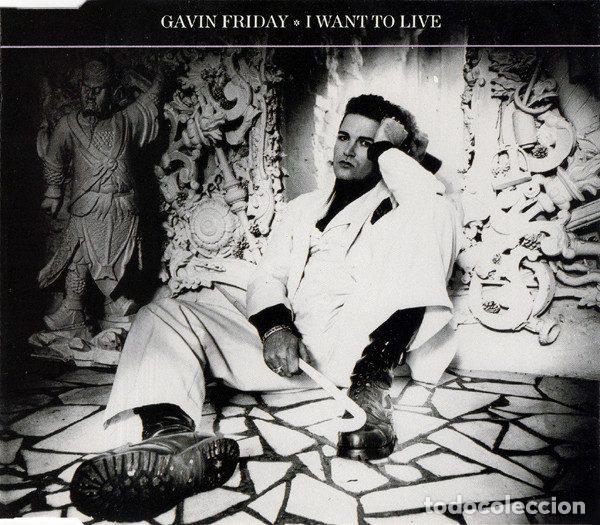 Music CDs: Gavin Friday &ndash; I Want To Live (CD, Island Records 665 115)