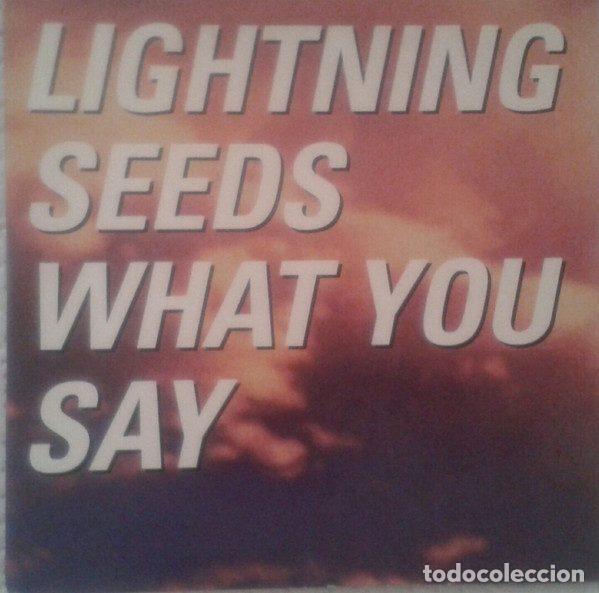 CD di Musica: Lightning Seeds &ndash; What You Say (CD, Epic SAMPCS 4720)