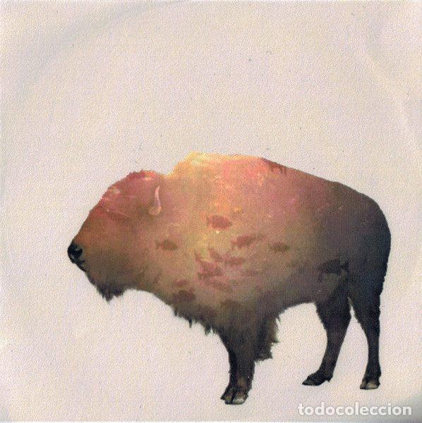 CDs de Musique: The Phoenix Foundation &ndash; Buffalo (CDr, Memphis Industries none)