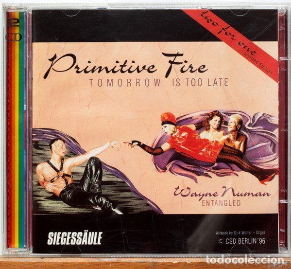 Music CDs: Primitive Fire / Wayne Numan &ndash; Tomorrow Is Too Late / Entangled (CD, Stonewall Records ST 9603)