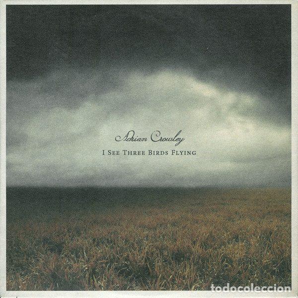 Musik-CDs: Adrian Crowley &ndash; I See Three Birds Flying (CD, Chemikal Underground PCHEM185CD)