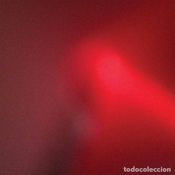 CD de M&uacute;sica: Meat Wave &ndash; The Incessant (CDr, Big Scary Monsters none)