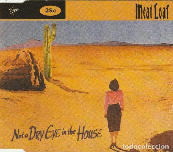 CDs de Musique: Meat Loaf &ndash; Not A Dry Eye In The House (CD, Virgin VSCDT 1567)