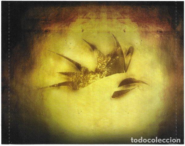 CDs de m&uacute;sica: Rooster &ndash; Rooster (CD, Brightside Recordings 82876676352) - Foto 3