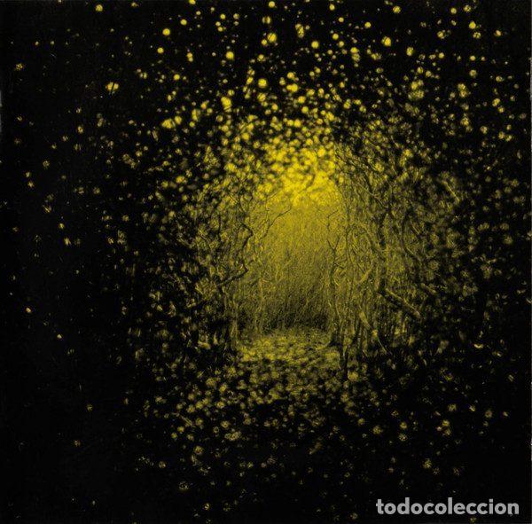 CDs de m&uacute;sica: The Antlers &ndash; Burst Apart (CD, Transgressive Records TRANS129)