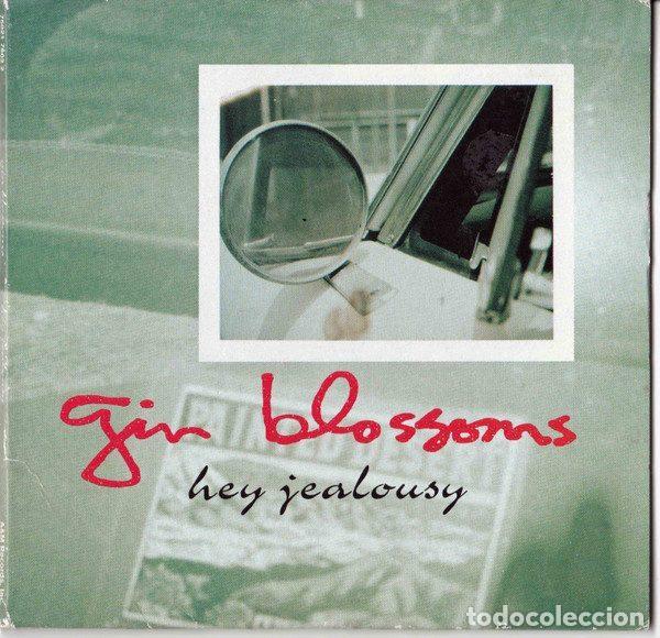 CD di Musica: Gin Blossoms &ndash; Hey Jealousy (CD, A&M Records 75021 7602 2)