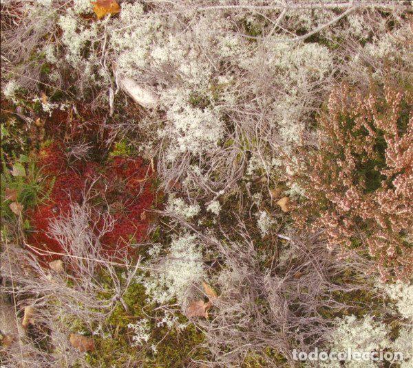 CD di Musica: Fursaxa &ndash; Mycorrhizae Realm (CD, ATP Recordings ATPRCD38)