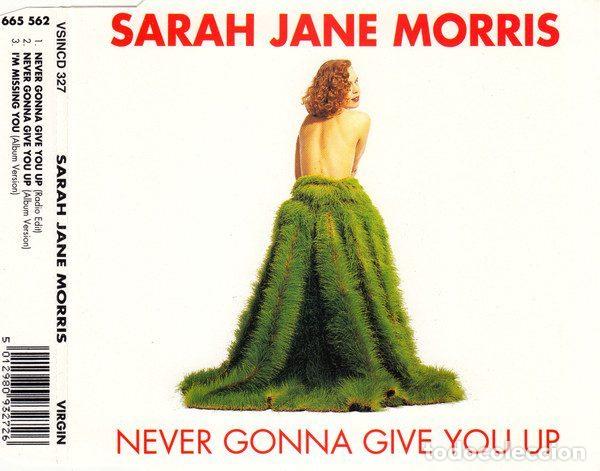 Musik-CDs: Sarah Jane Morris &ndash; Never Gonna Give You Up (CD, Virgin VSINCD 327)