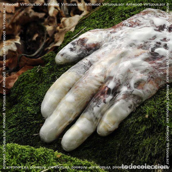 CDs de m&uacute;sica: Antwood &ndash; Virtuous.scr (CDr, Planet Mu ZIQ378)