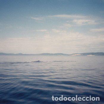 Musik-CDs: Summer Recreation Camp &ndash; Dolphins in Love (CD, Foehn Records foehn039)