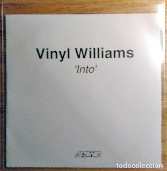 Music CDs: Vinyl Williams &ndash; Into (CDr, Company Records CHI003P)