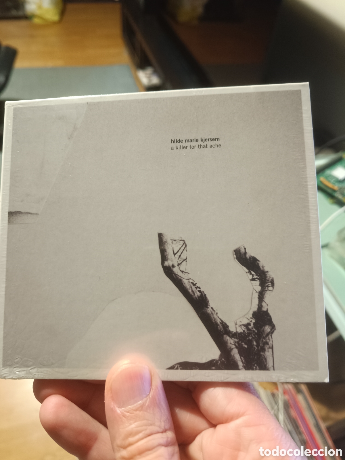 CDs de m&uacute;sica: Hilde Marie Kjersem &lrm;&ndash; A Killer For That Ache (CD, Album) (Precintado)