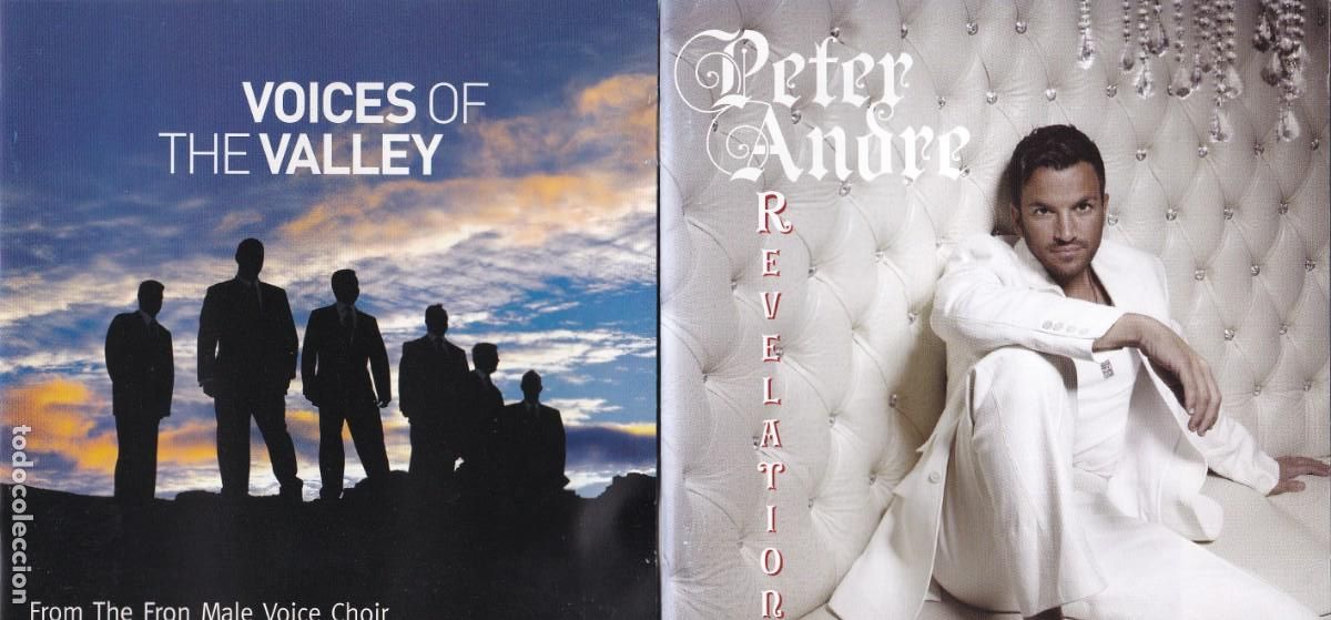 Musik-CDs: Lote 2 CD : Voices of the Valley + Peter Andre
