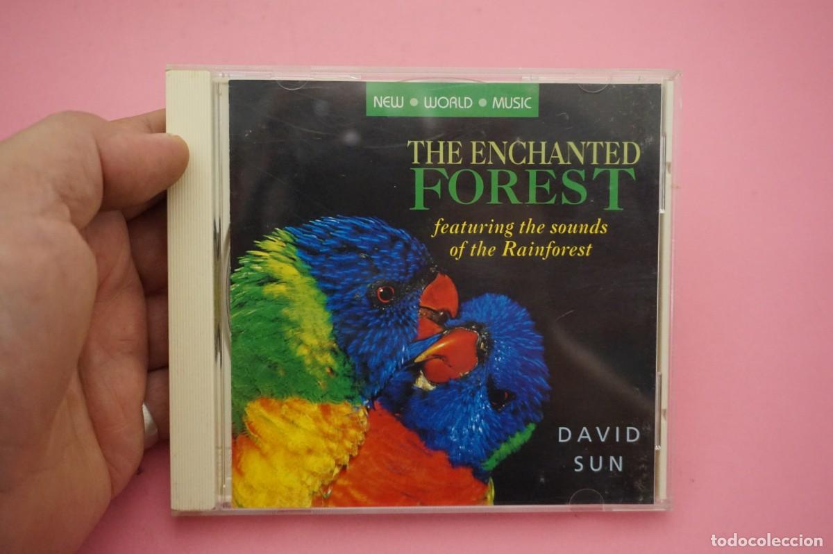 CDs de m&uacute;sica: CD - DAVID SUN - THE ENCHANTED FOREST - DISCO COMO NUEVO - Foto 1