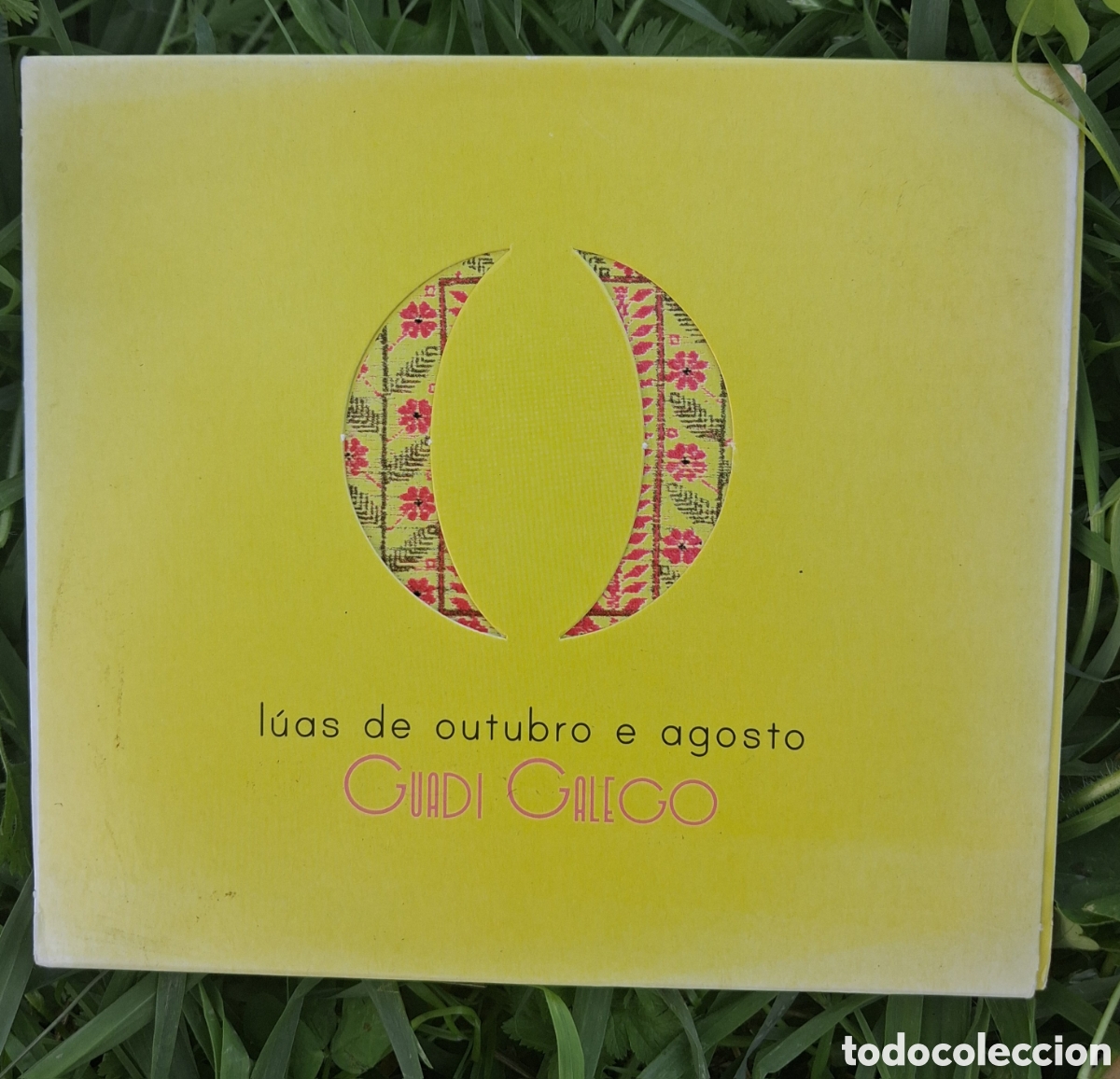 Music CDs: Guadi Galego Luas de outubro e agosto Cd.