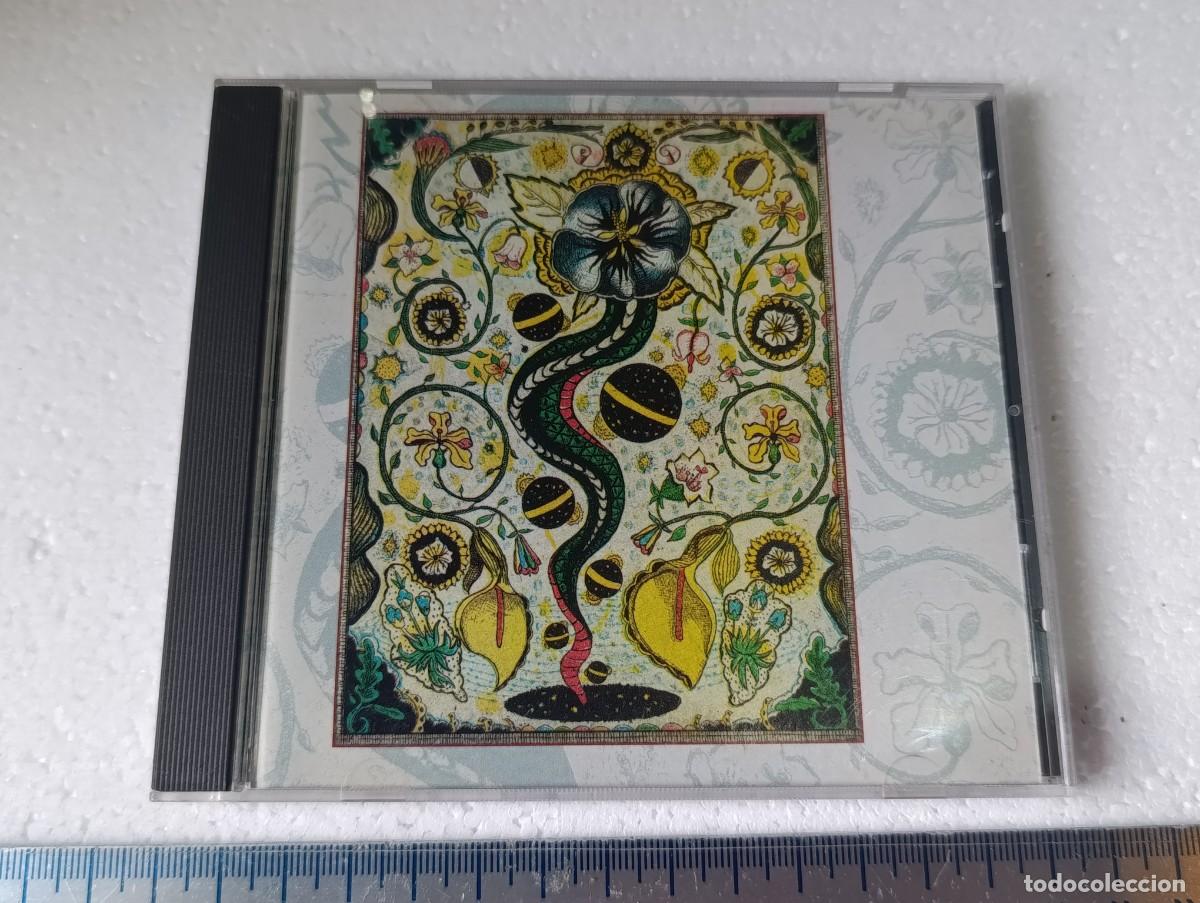 CDs de m&uacute;sica: CD - STEVE EARLE - I FEEL ALRIGHT - MUSICA -
