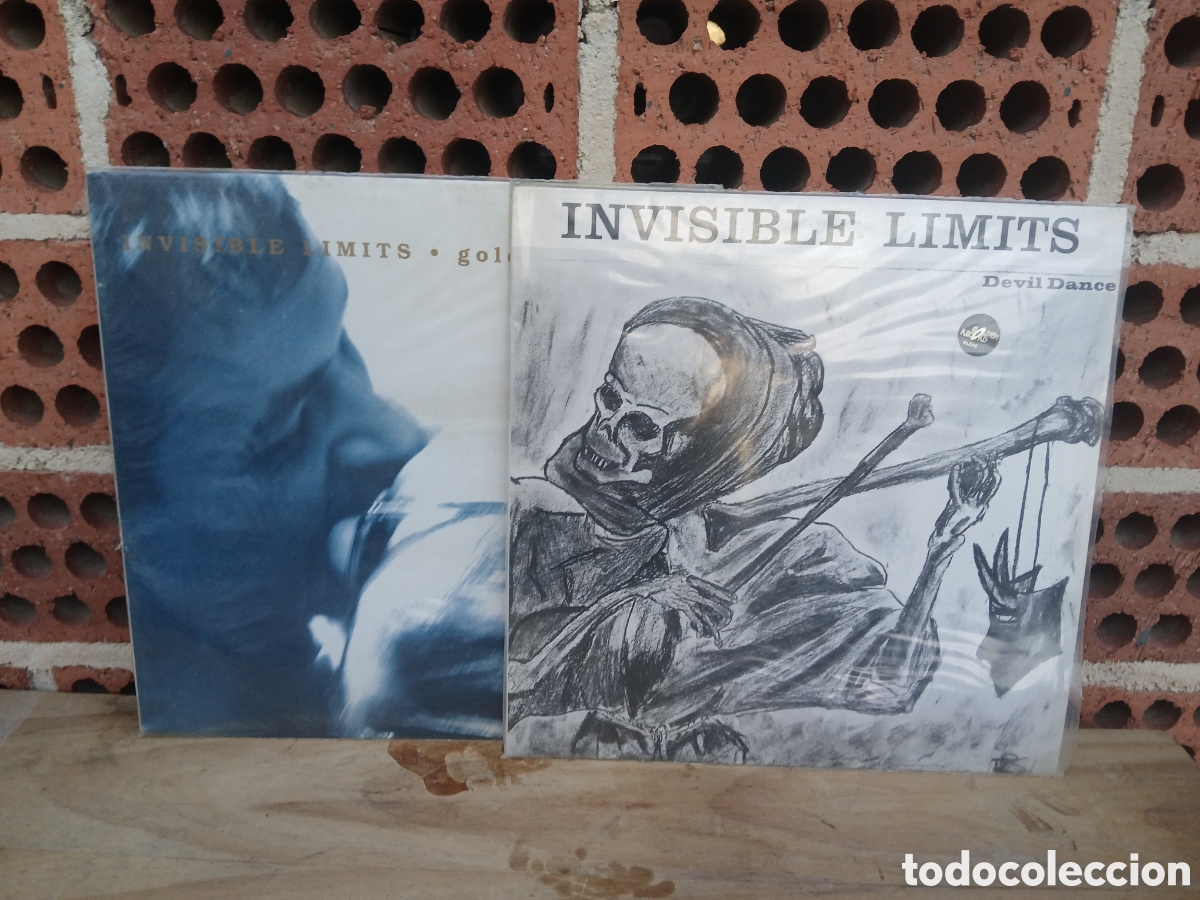 CDs de m&uacute;sica: VINILO, INVISIBLE LIMITS DOS LP. - Foto 1