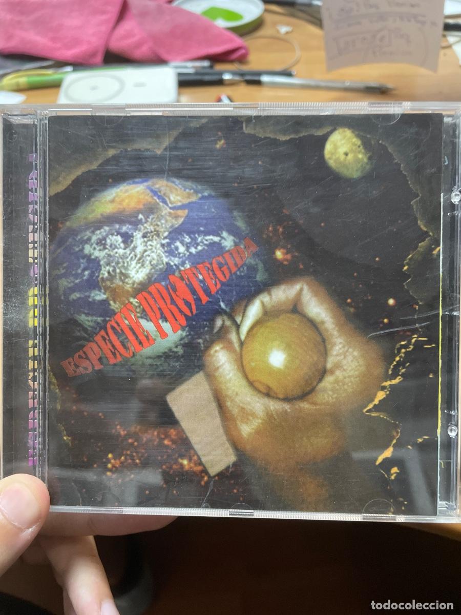 CDs de m&uacute;sica: Especie protegida CD