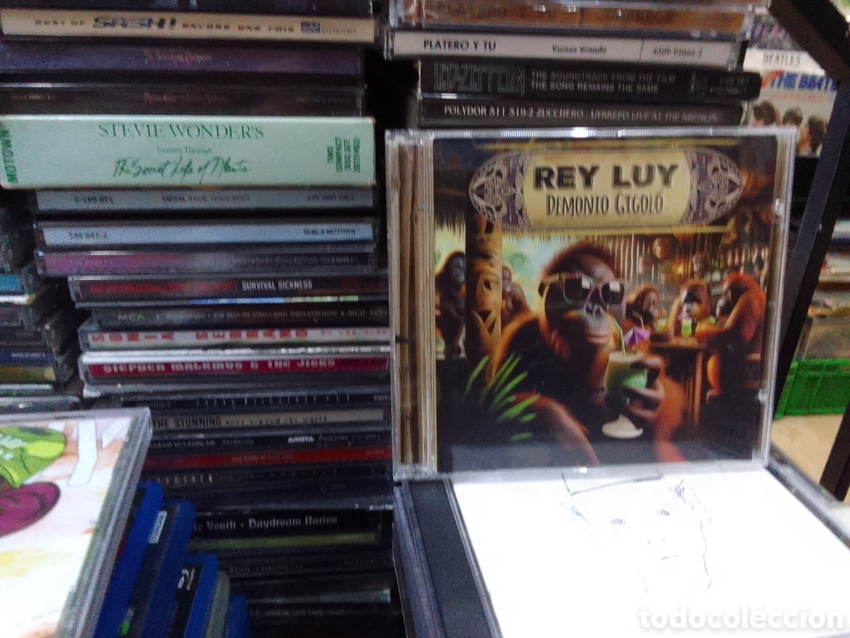 CDs de m&uacute;sica: Rey lui, demonio gigolo - Foto 1