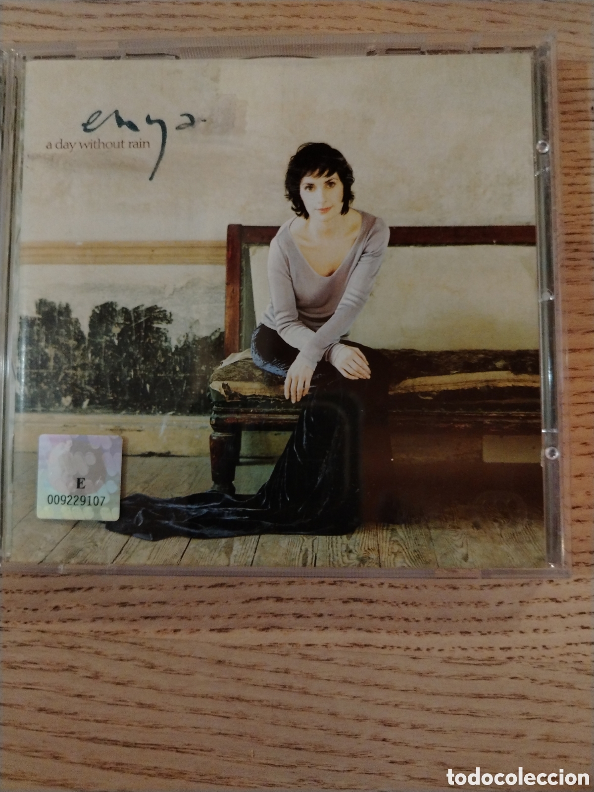 CDs de m&uacute;sica: ENYA - A Day Without Rain (SIN CD)