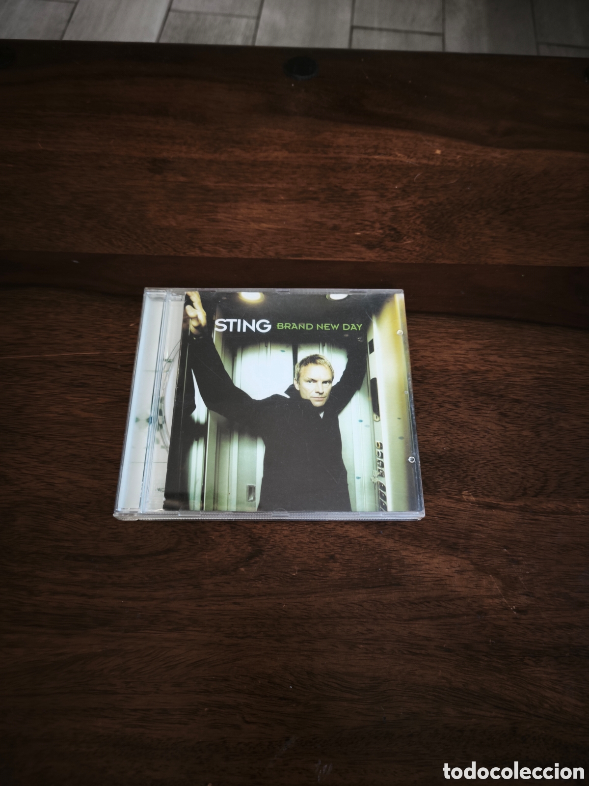CDs de m&uacute;sica: CD Sting - Brand New Day