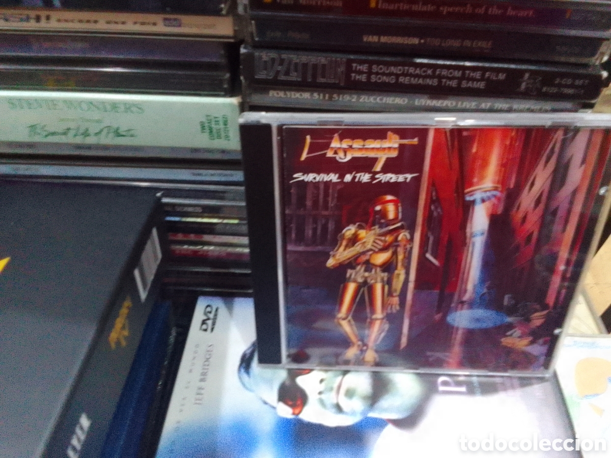 CDs de m&uacute;sica: Assault, survival in the street