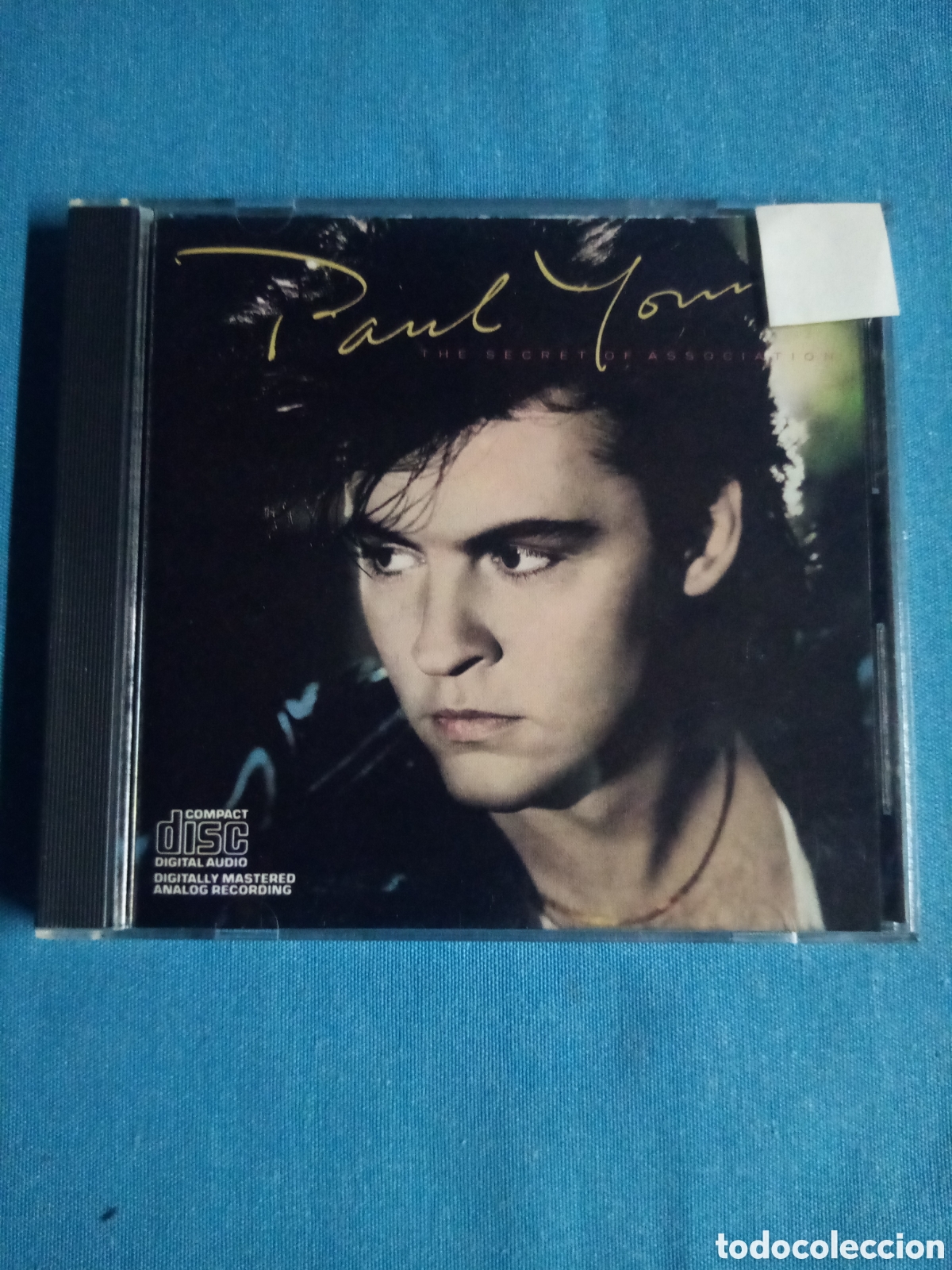CDs de m&uacute;sica: CD PAUL YOUNG THE SECRET OF ASSOCIATION