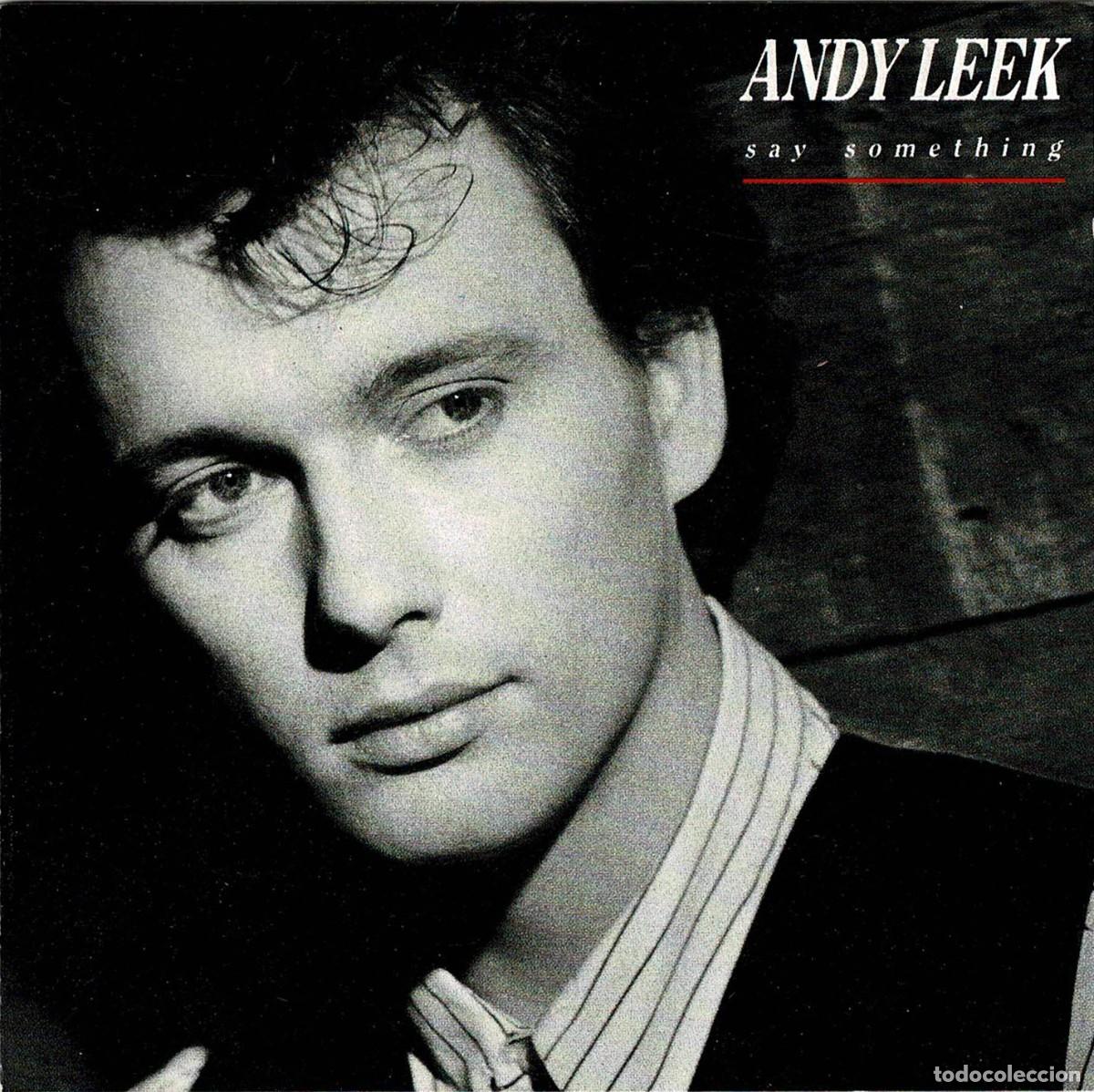 CDs de m&uacute;sica: Andy Leek - Say Something. CD - Foto 1