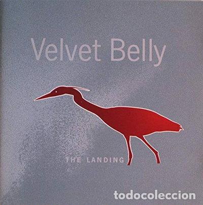 CDs de m&uacute;sica: The Landing- 0743213408224