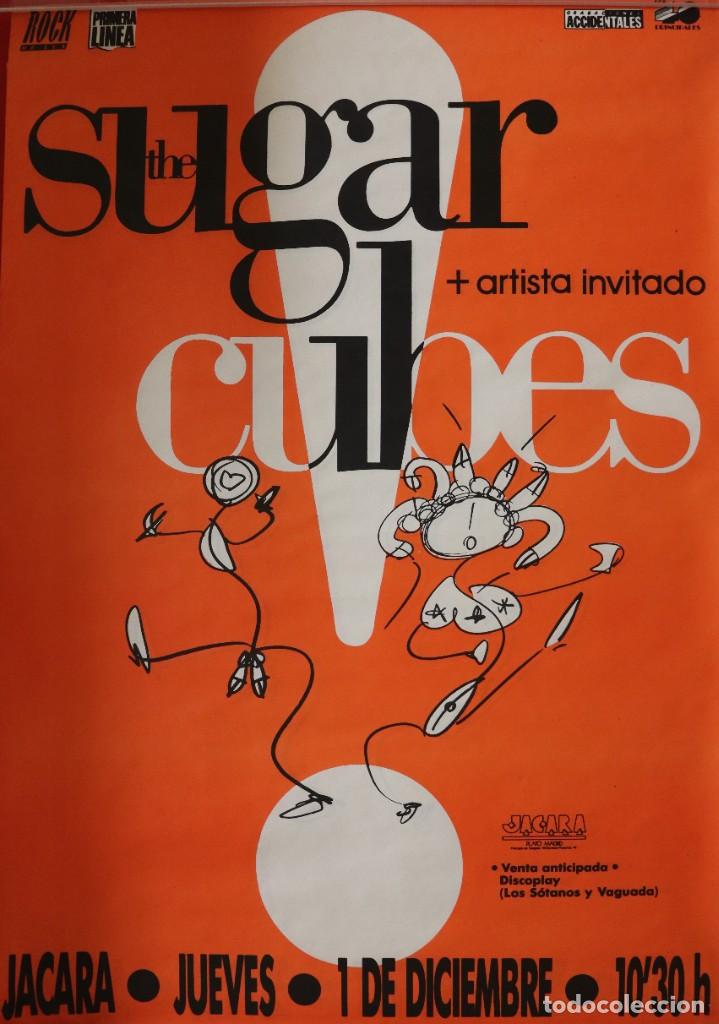 Musique de collection: Cartel The sugar cubes