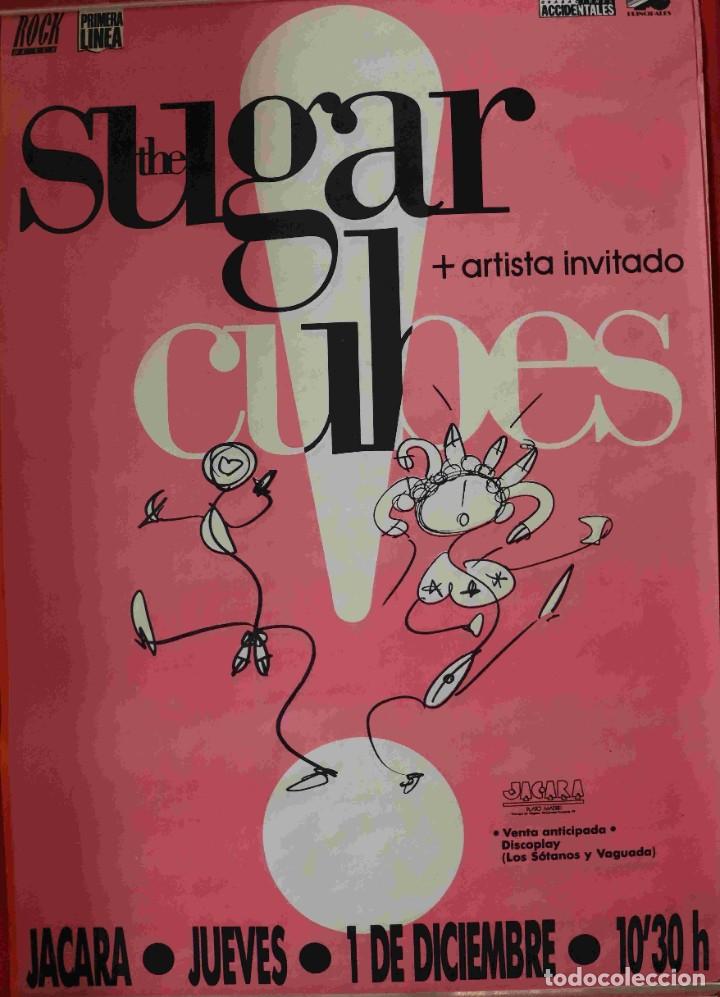 Musique de collection: Cartel The sugar cubes