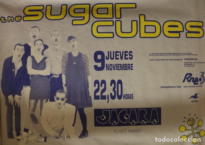 Musica di collezione: Cartel The sugar cubes