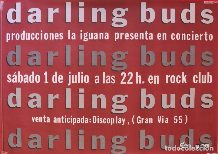 Collectible Music: Cartel Darling buds