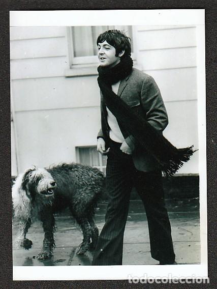 M&uacute;sica de colecci&oacute;n: THE BEATLES: PAUL McCARTNEY DE PASEO CON SU PERRA MARTA EN LONDRES-REPRO FOTO COLECCION