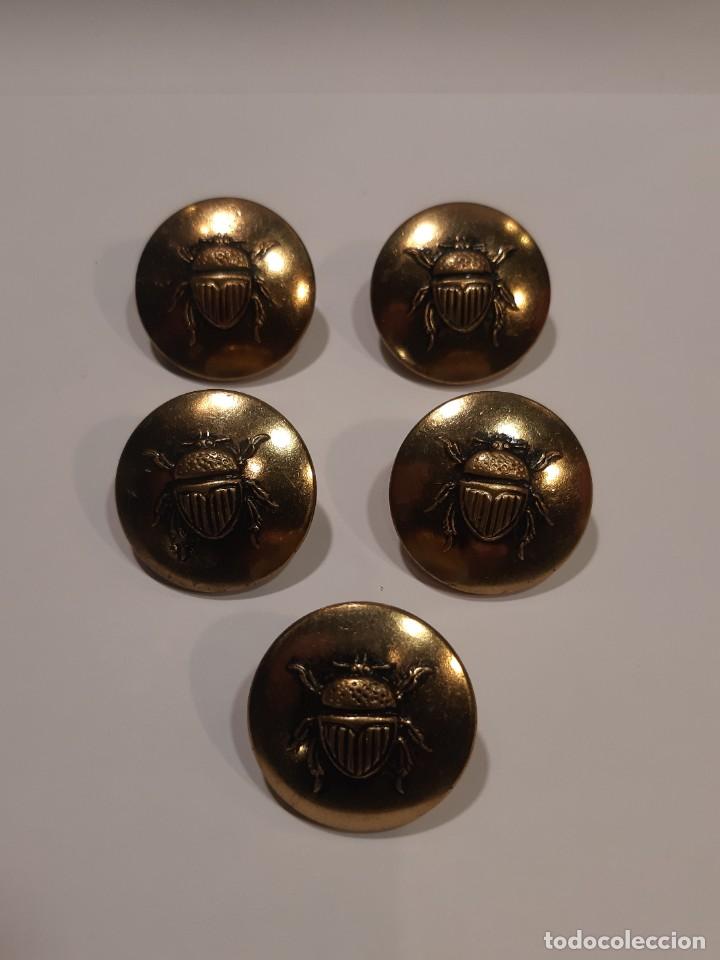 M&uacute;sica de colecci&oacute;n: THE BEATLES 5 BOTONES DORADOS CON ESCARABAJOS EN RELIEVE BIRMINGHAM BUTTONS LTD UK A&Ntilde;OS 60 (GBM)
