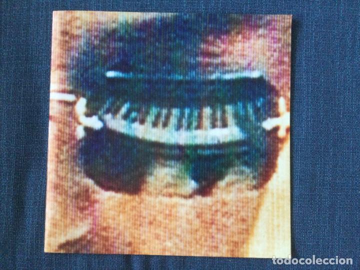M&uacute;sica de colecci&oacute;n: Paul Weller World Tour. Programa gira 1992 - Foto 2