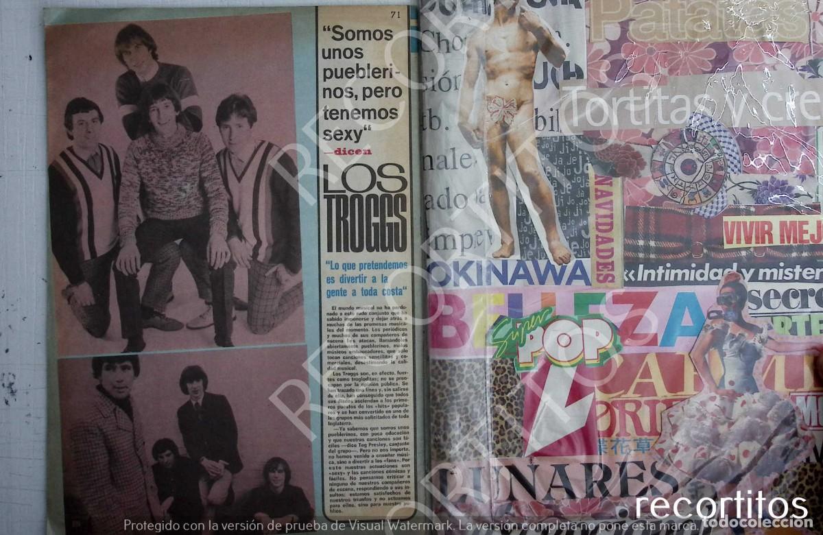 Musiksammlung: los troggs