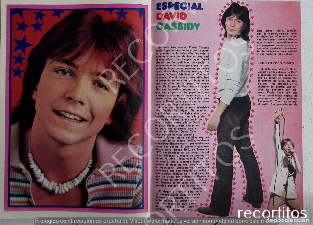 M&uacute;sica de colecci&oacute;n: david cassidy - Foto 1